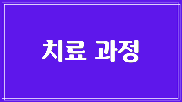 치료 과정