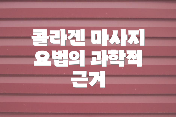 콜라겐 마사지 요법의 과학적 근거