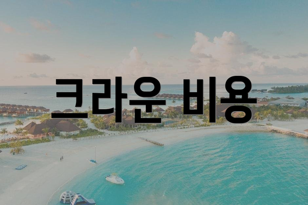 크라운 비용