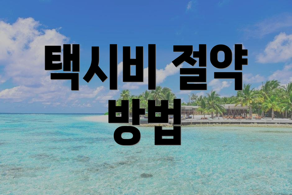 택시비 절약 방법
