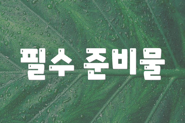 필수 준비물