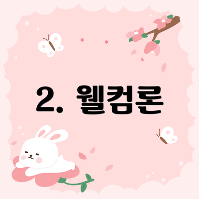 2. 웰컴론