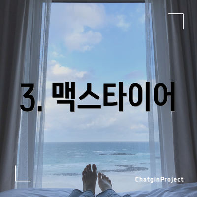 3. 맥스타이어