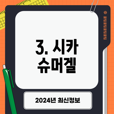 3. 시카 슈머겔