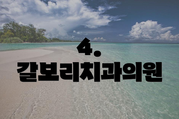 4. 갈보리치과의원